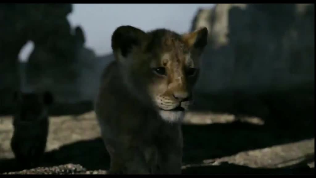 Le Roi Lion live : Disney a trouvé des voix de légende pour Simba et  Muphasa